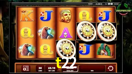 VIP Casino t22